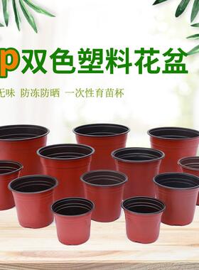 工厂塑料双色花盆软塑育苗盆一次性加厚培育绿植多肉营养钵