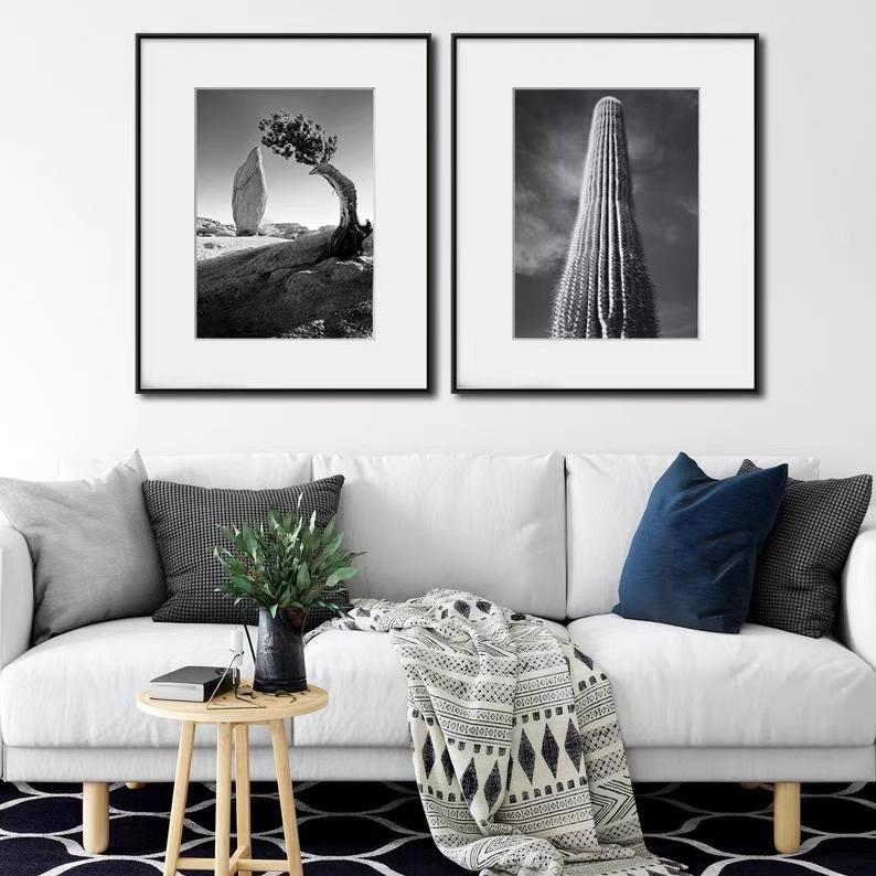 安塞尔亚客当斯黑白风景摄影VQL小众艺术装饰公画厅办房书软装壁