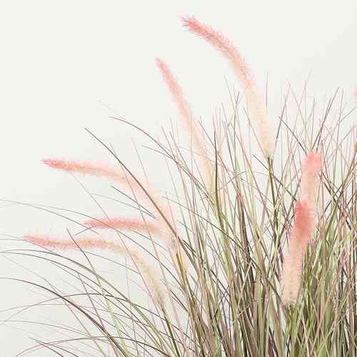 样板房美摆件仿真13头狗蒲尾草盆景橱窗装陈饰KTD仿真假花洋葱草