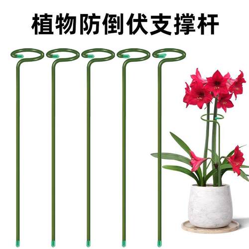 植物支撑杆朱顶红花卉园艺防倒扶支架插花固定神器植物枝条固定杆