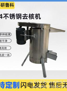 水果去皮脱核机 0.5吨/h去核打浆机 工业樱桃枇杷黄杏去核机