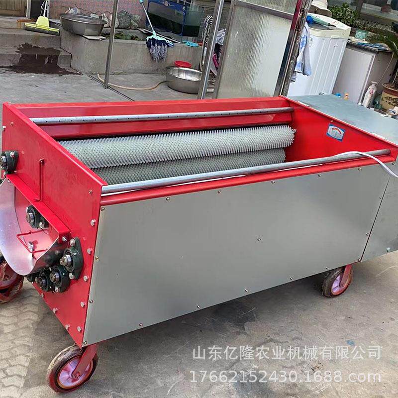 电动纸核桃脱皮机 小型核桃剥壳机 鲜核桃去皮机价格