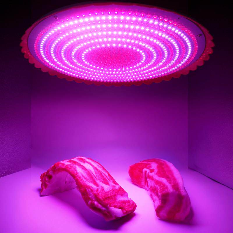 非新标冷鲜肉水果led生鲜灯猪肉摊熟食专用卤菜海鲜市场节能灯具