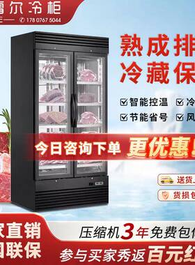 熟成牛肉排酸冷柜恒温干式湿式牛排冷藏冷冻展示柜定制牛扒保鲜柜