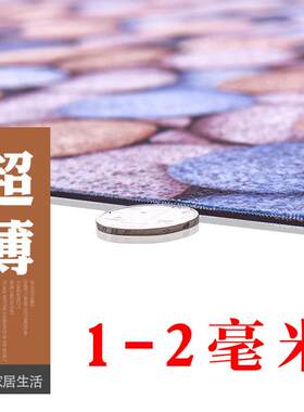 薄地毯超薄不卡门1mm吸水防滑可裁剪3d地垫门垫进门门口家用定制