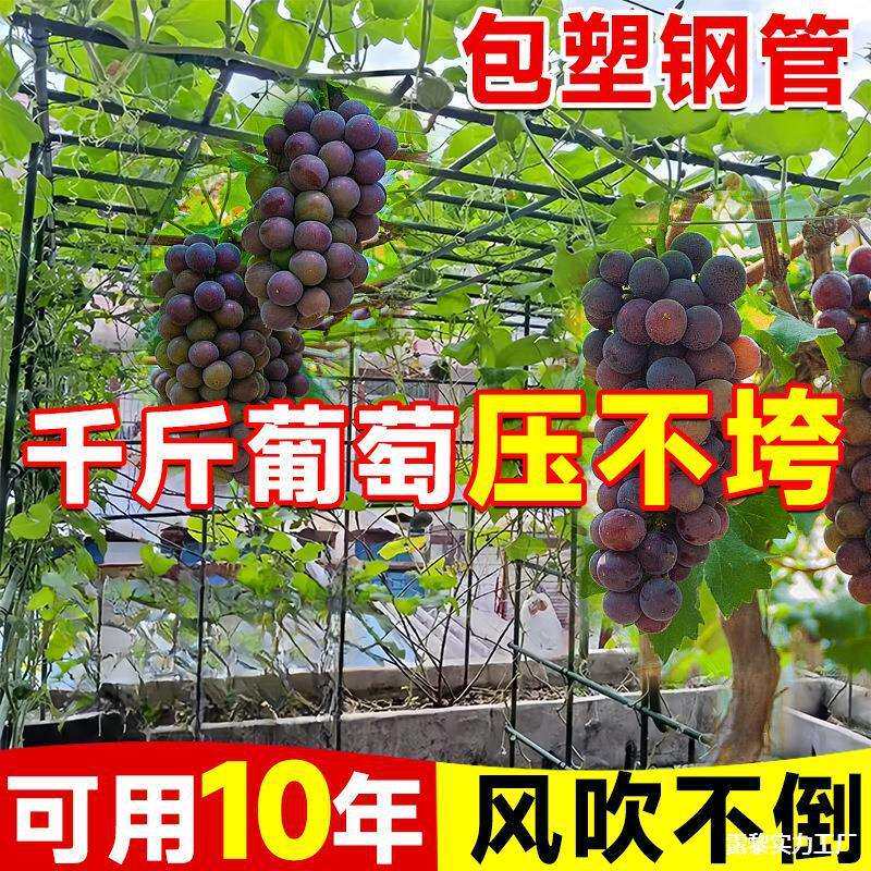 子牵引爬藤架丝瓜黄瓜葡萄架庭院爬藤架户外苦瓜瓜棚架百香果
