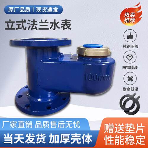 立式垂直竖装法兰国标水表DN50DN65DN80DN100 2寸3寸4寸