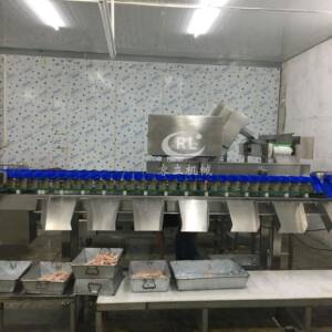 鲅鱼称重分选机连续式海鲜重量分级机大料盒鸡鸭鹅称重分级机