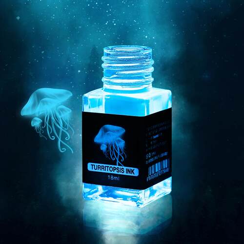 tramol灯塔隐形墨水钢笔非碳素创意彩墨玻璃笔蘸水笔墨水18ml包邮