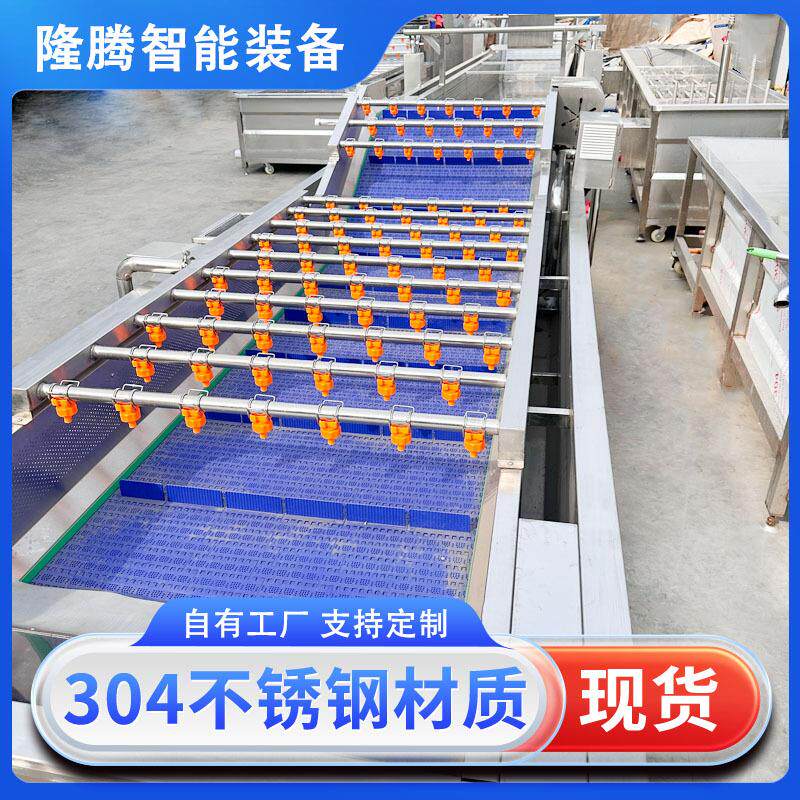 全自动连续式果蔬气泡清洗机商用蓝莓清洗设备香椿芽加工设备