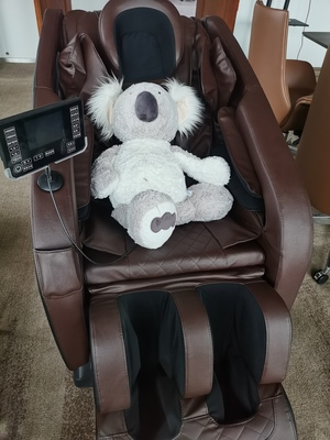 南极人按摩椅怎么样内行良心评测推荐