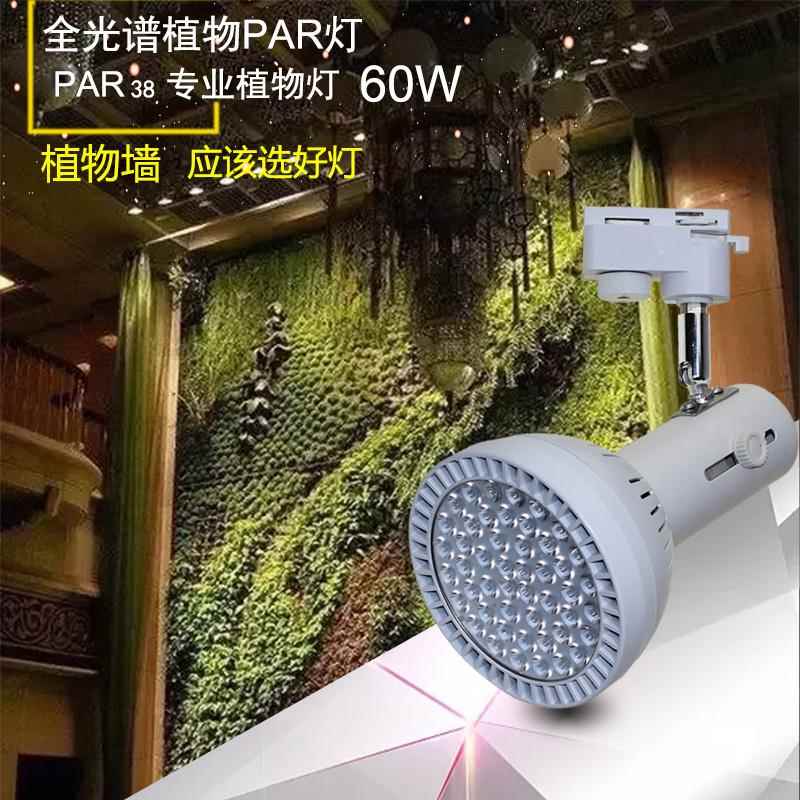 植生长补光灯植LED光谱室内全景观花卉多绿肉轨道植物墙SFG补物光