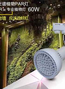 轨灯植物生长补光绿植LED全光谱室补内景观花卉多肉道LER植物墙光