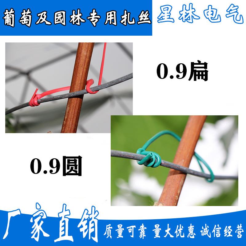 葡萄扎丝,园林扎丝0.9圆扁10000条,绑丝扎丝,支架扎丝包塑铁丝