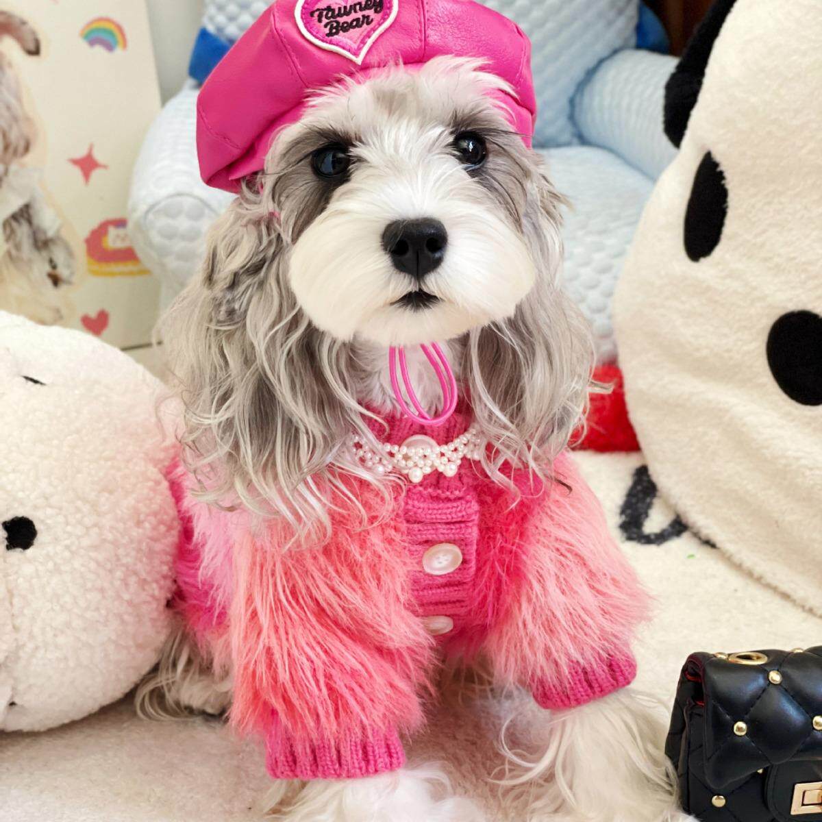 母狗狗衣服秋冬加厚贵妇风渐变色毛衫雪纳瑞比熊泰迪马尔济斯毛衣