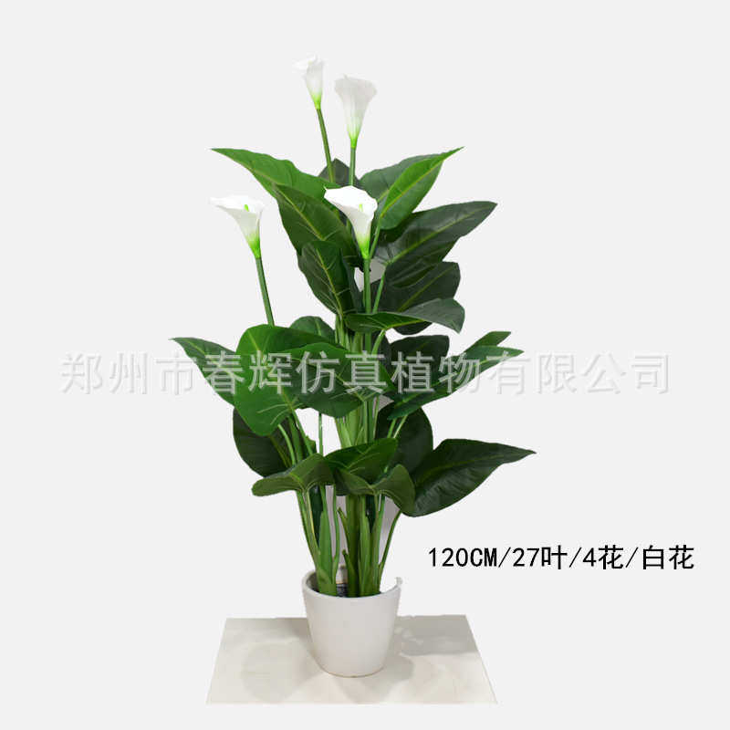 假制马蹄莲直供树马蹄莲马蹄莲 红色盆栽马蹄莲玫厂家仿真仿真定
