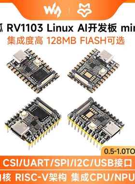 微雪 幸狐RV1103 Luckfox Pico Mini微型Linux AI开发板128MB容量