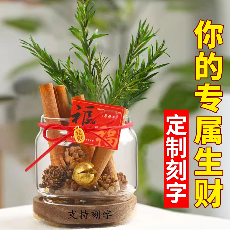 肉桂生财瓶摆件发财diy装饰招财客厅I财位乔迁新居礼品新年礼品