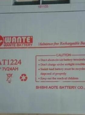 WANTE万特蓄电池AT126512V65AH绿色节能含税含运灰白质保三年