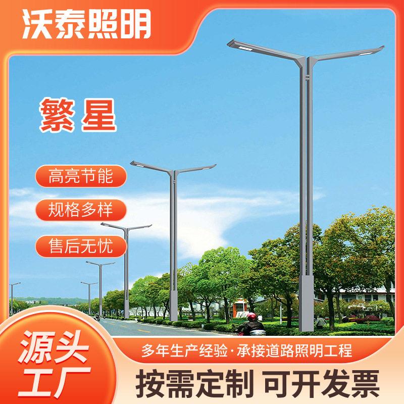 工厂直供双臂路灯户外防水led路灯6米8米10米12米市电路灯