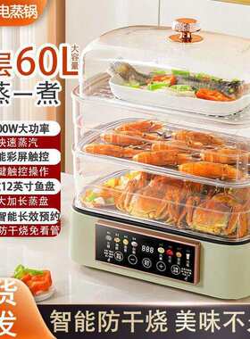三三熊多功能电蒸锅大容量12寸鱼盘放上蒸下煮多功能自动断电干烧