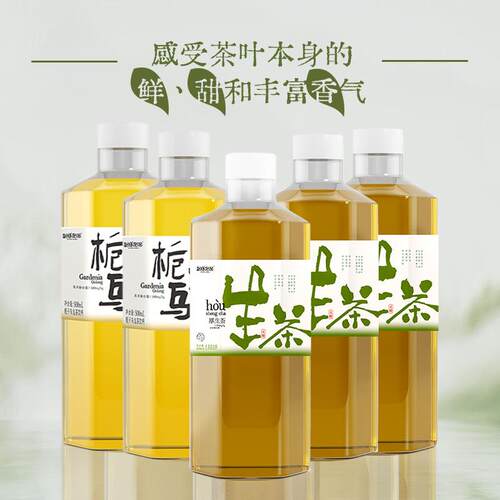 500ml/瓶生茶栀子乌龙茶饮料夏日聚餐下午茶饮品