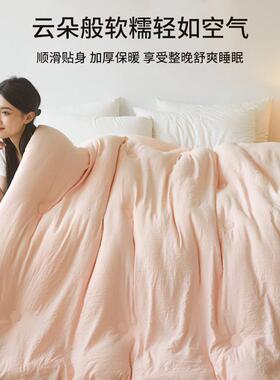 大豆33356纤被子冬被棉芯加厚保暖学生宿被四舍维单双人薄春秋被