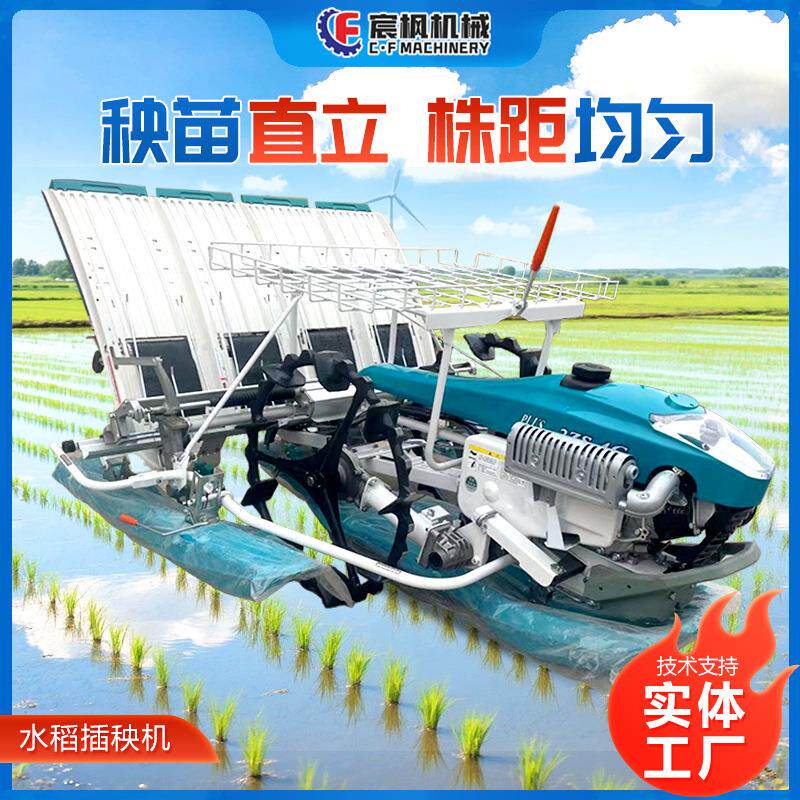 手扶座驾式水稻秧苗插秧机四行六行高速汽油育秧耕地种植插苗设备