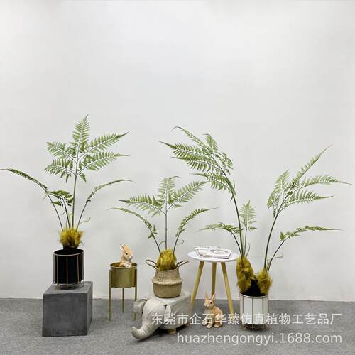 仿真猴头蕨 金丝蕨假绿植盆栽蕨类室内禅意仿真植物造景装饰摆件