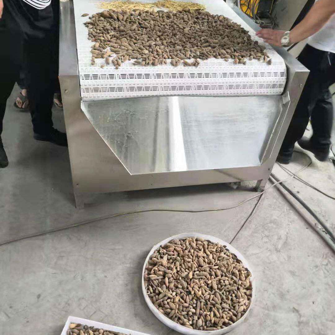 科尔郁金药材微波杀菌杀虫设备微波杀菌杀虫设备