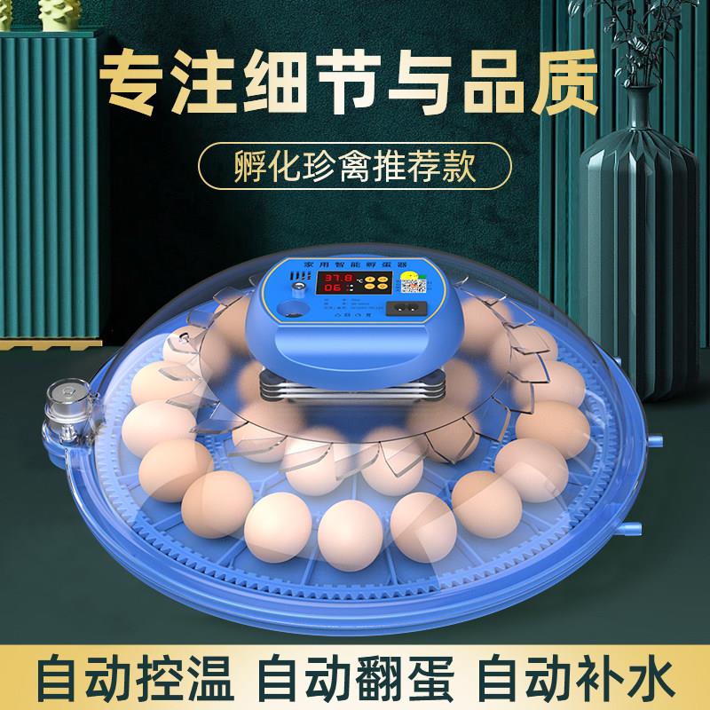 维谦1/4吋套筒扳手碟孵化器小型家用迷你孵化机智能全自动恒温芦