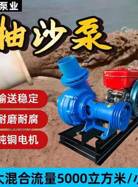 供卧式NB卧式抽沙泵6寸多型号河底吸沙泵采沙头淘金泵耐磨抽泥泵