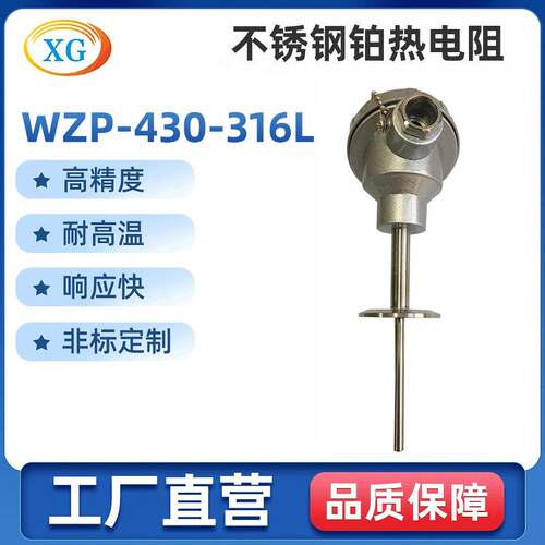 厂家供应热电阻WZP-430/316L
