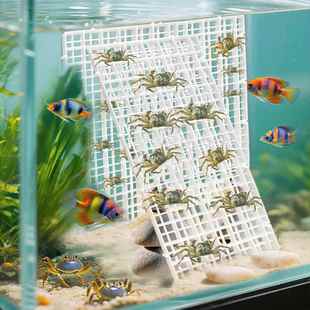螃蟹攀爬架寄居蟹攀爬网格龟晒台鱼缸防跳盖板格子板网格板可裁剪