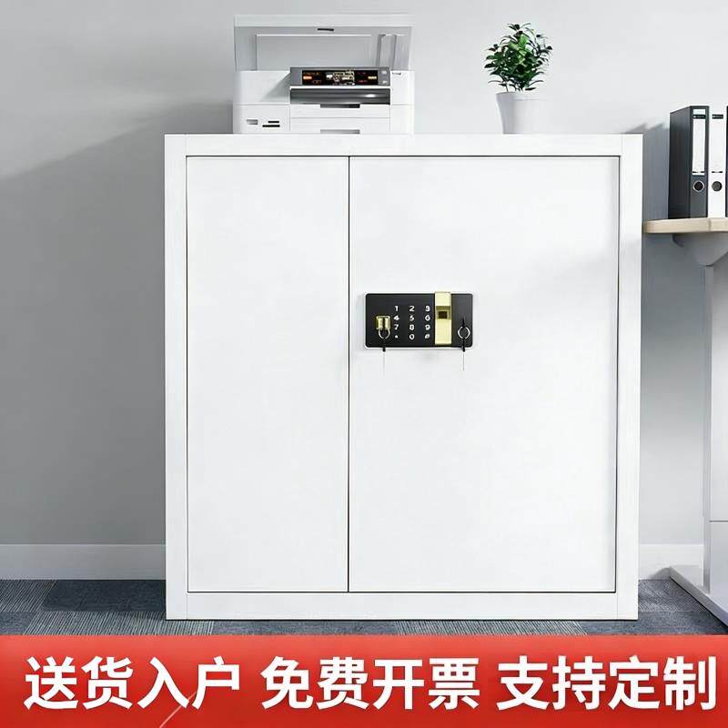 保密柜文件柜办公室电子密码锁双锁资料带锁铁皮收纳柜矮柜保险柜