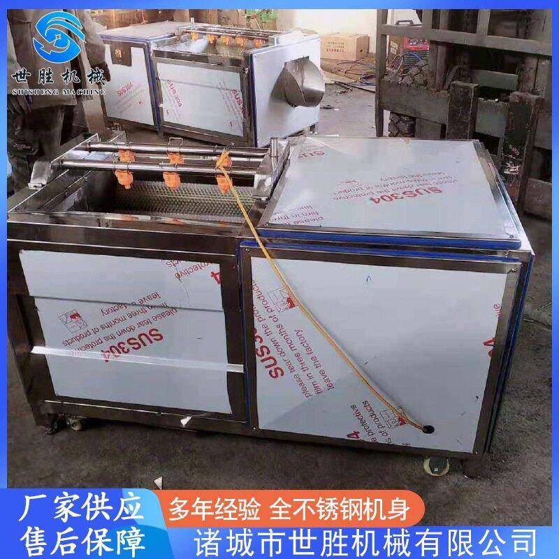 大枣毛辊清洗机设备 全自动毛刷去皮机 供应羊蹄子清洗机设备