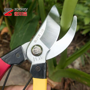 佐川吉138台湾剪定铗果树剪花园修枝剪复古经典 耐用园艺园林剪 款