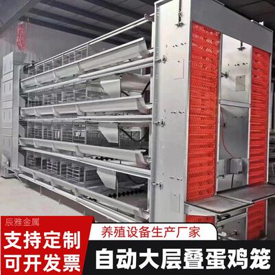 全自动大层叠蛋鸡笼自动化集蛋清粪养殖笼鸡舍立式养鸡机械设备