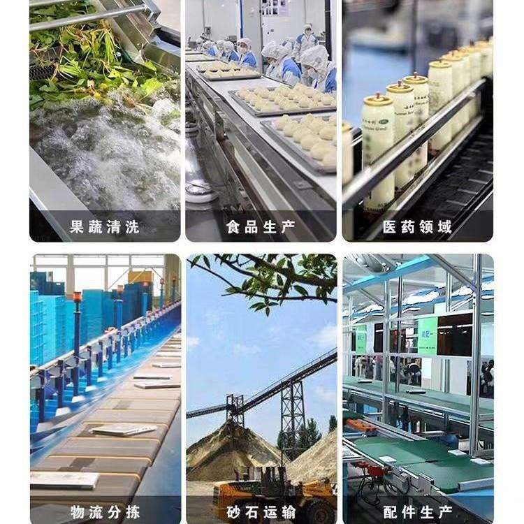 上海厂家供应 塑料或不锈钢链板式输送机 输送流水线根据尺寸制作