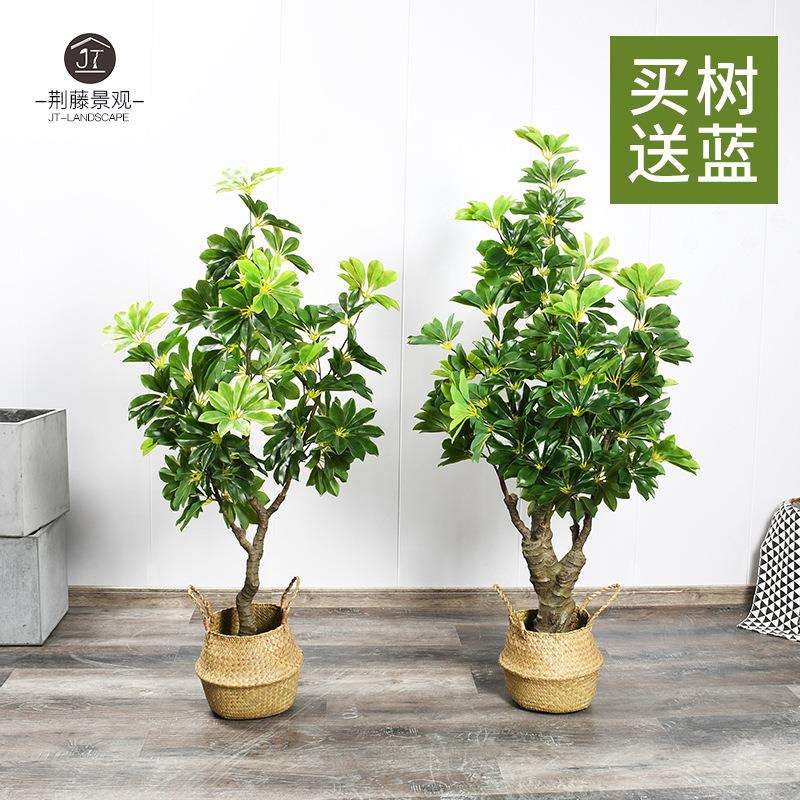仿真招财树大型室内绿植鸭脚木落地盆栽书房客厅商场橱窗装饰摆件