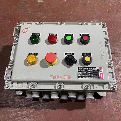 BXMD-53防爆照明动力配电箱 DZ47-25A/2P开关防爆柜