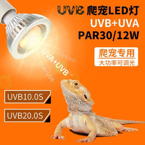 爬宠UVB灯泡紫外线补钙灯UVA全光谱乌龟晒背灯太阳灯鬃狮蜥蜴陆龟