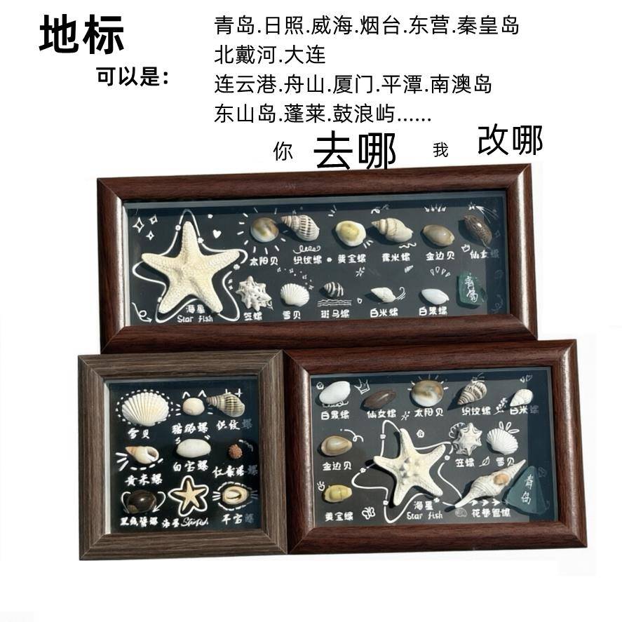 青岛海边旅行纪念贝壳装饰画文创旅游纪念品海螺海星标本摆摊拿货