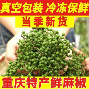 四川特产鲜藤椒特香特麻鲜花椒新鲜生花椒酉阳麻椒家用散装青花椒