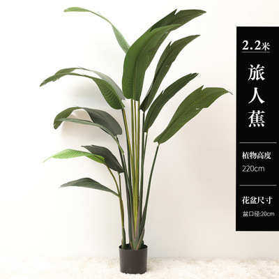 北蕉 旅人仿真花龟背叶 大型树室内装饰摆件假假家居欧风绿植落地