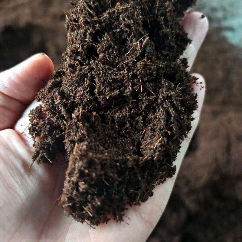 化工原料打散破碎机湿豆腐渣渣蛋白桑构树精细粉碎机