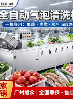 全自动气泡清洗机餐厅酒店商用食材净化机多功能蔬菜瓜果类洗菜机