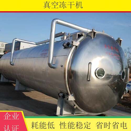 商用大型荔枝龙眼冻干机全自动西瓜苹果冷冻干燥机草莓香蕉冻干