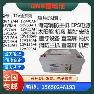 美国GNB蓄电池S512 12V24A38A65A100AH120A150AH基站机房UPS S312