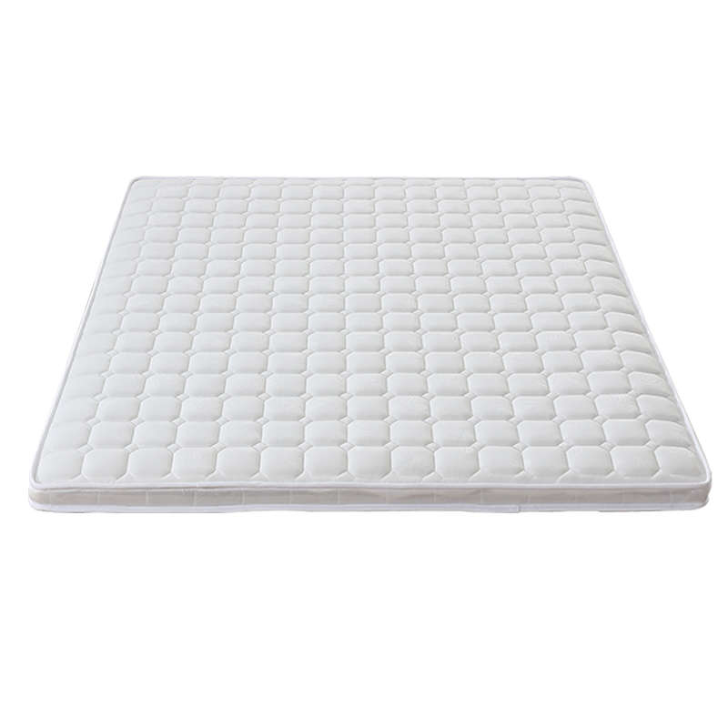 9C硬床垫护脊椎椰棕粽榈1.5米出租房家用1.2卧室被褥子